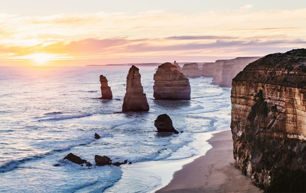 为什么你也该关注维州 NIV 州提名？