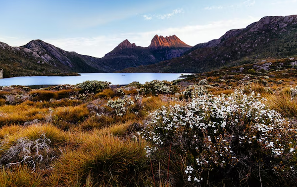 塔州拿到临时配额！9.5最新消息
