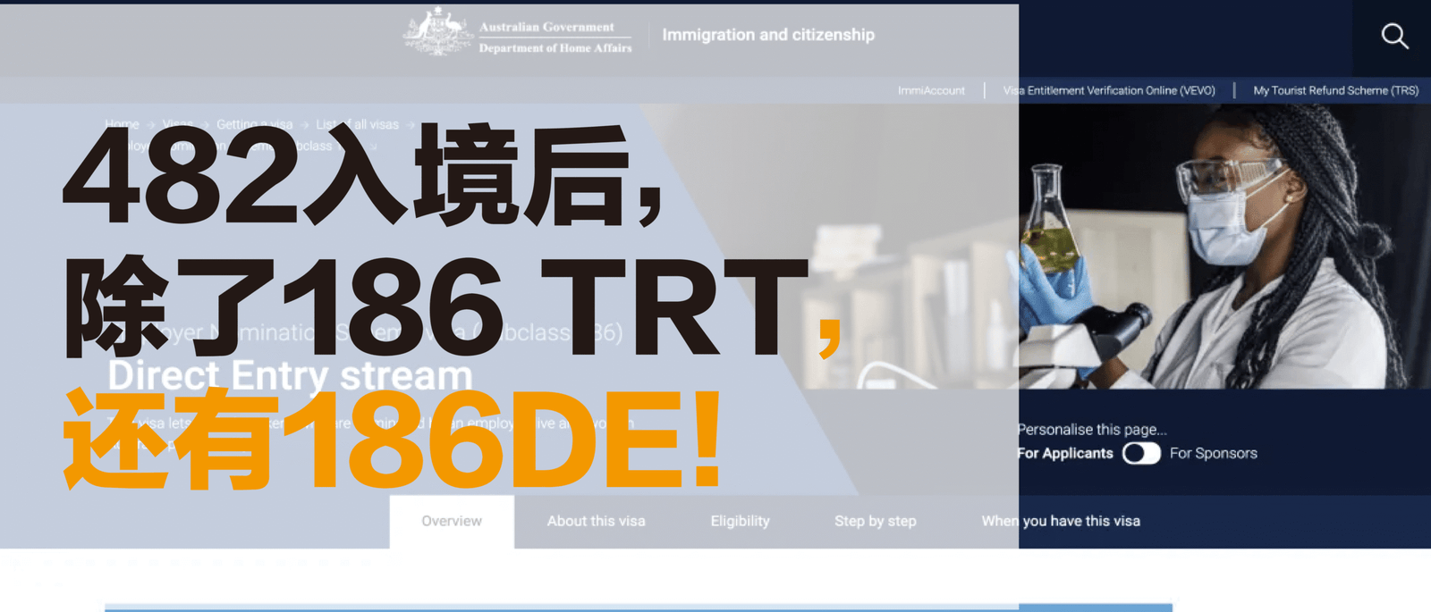 482入境后，除了186 TRT，还有186DE！